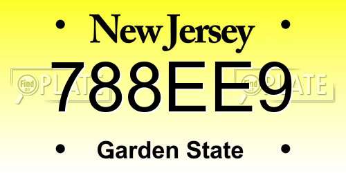 788EE9 New Jersey License Plate