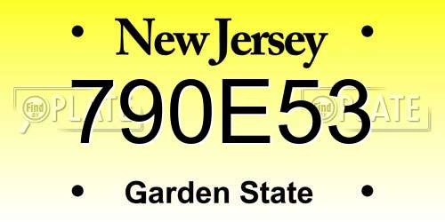 790E53 New Jersey License Plate