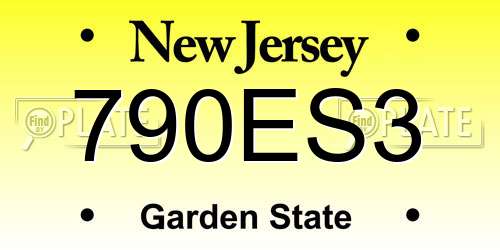 790ES3 New Jersey License Plate