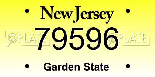 79596 New Jersey License Plate