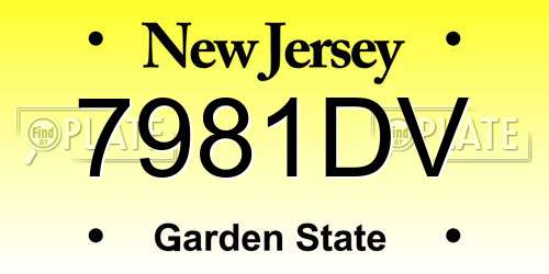 7981DV New Jersey License Plate