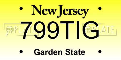 799TIG New Jersey License Plate