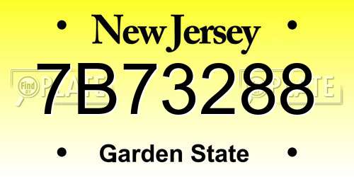 7B73288 New Jersey License Plate