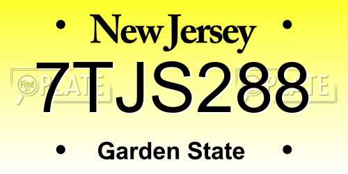 7TJS288 New Jersey License Plate