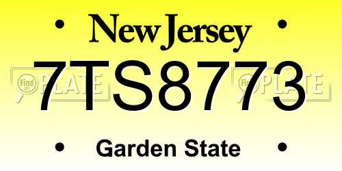 7TS8773 New Jersey License Plate