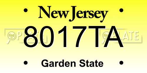 8017TA New Jersey License Plate