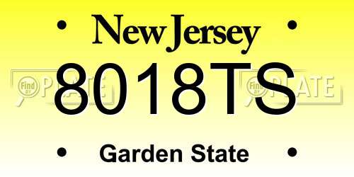 8018TS New Jersey License Plate
