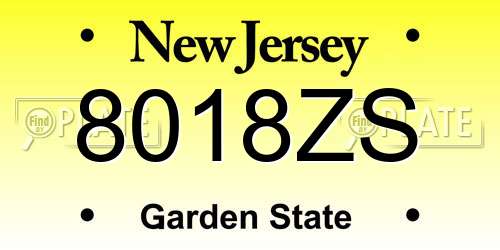 8018ZS New Jersey License Plate