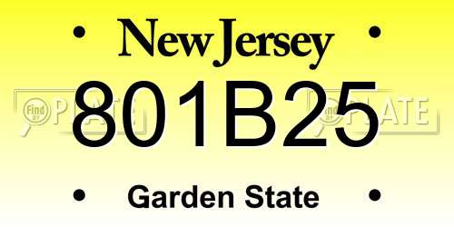 801B25 New Jersey License Plate