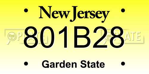 801B28 New Jersey License Plate
