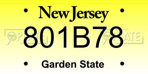 801B78 New Jersey License Plate