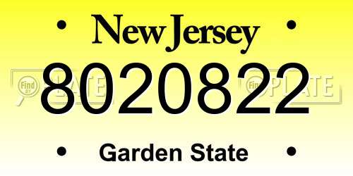 8020822 New Jersey License Plate