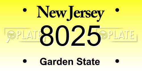 8025 New Jersey License Plate