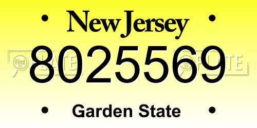 8025569 New Jersey License Plate
