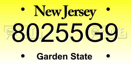 80255G9 New Jersey License Plate