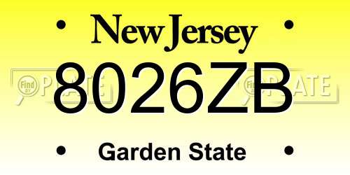 8026ZB New Jersey License Plate