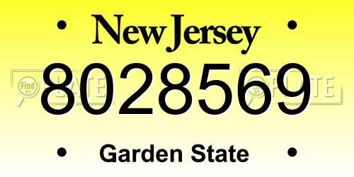 8028569 New Jersey License Plate