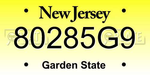 80285G9 New Jersey License Plate