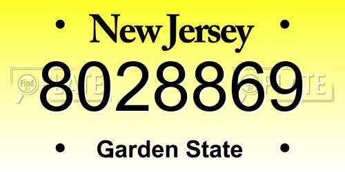 8028869 New Jersey License Plate