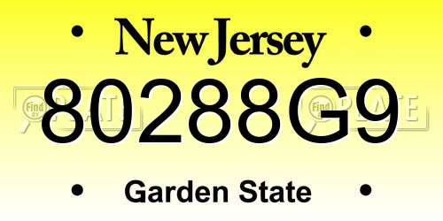80288G9 New Jersey License Plate