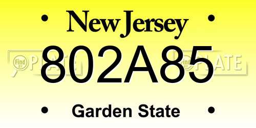 802A85 New Jersey License Plate