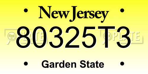 80325T3 New Jersey License Plate