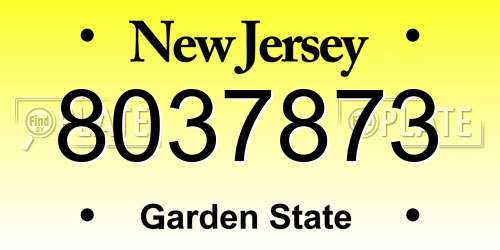 8037873 New Jersey License Plate