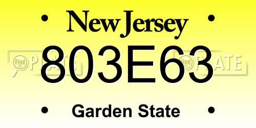 803E63 New Jersey License Plate