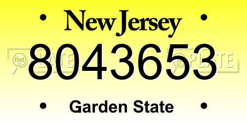 8043653 New Jersey License Plate