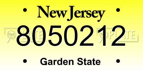 8050212 New Jersey License Plate