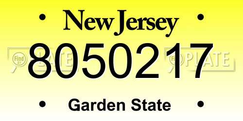 8050217 New Jersey License Plate
