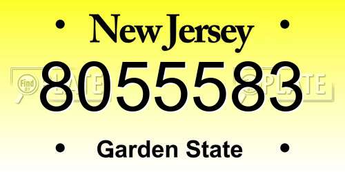 8055583 New Jersey License Plate