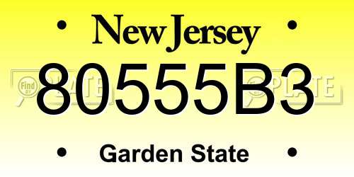 80555B3 New Jersey License Plate
