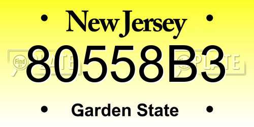 80558B3 New Jersey License Plate