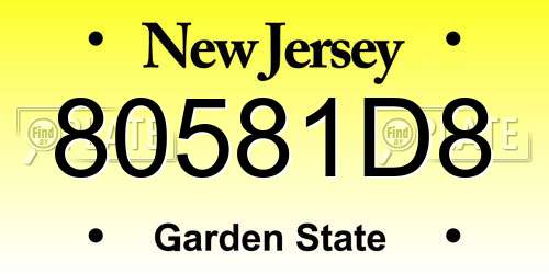 80581D8 New Jersey License Plate