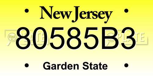 80585B3 New Jersey License Plate