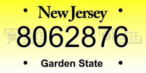 8062876 New Jersey License Plate