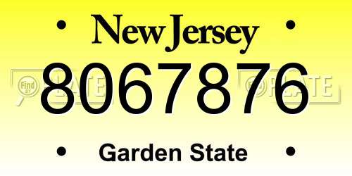 8067876 New Jersey License Plate
