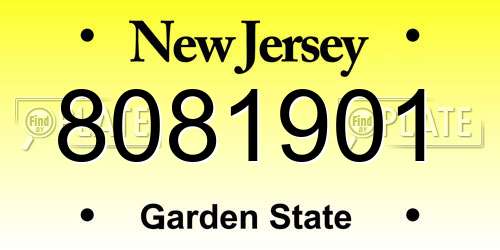 8081901 New Jersey License Plate