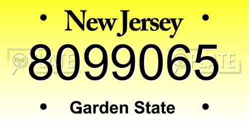8099065 New Jersey License Plate