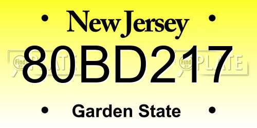 80BD217 New Jersey License Plate