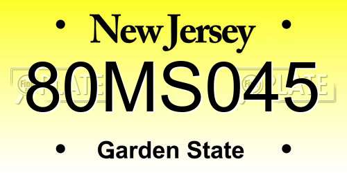 80MS045 New Jersey License Plate