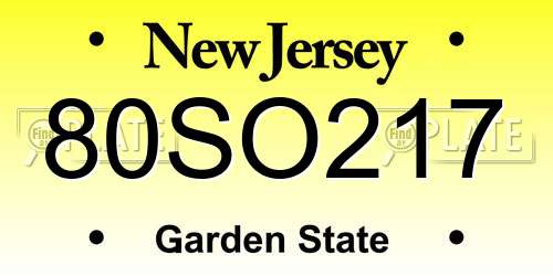 80SO217 New Jersey License Plate
