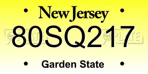 80SQ217 New Jersey License Plate