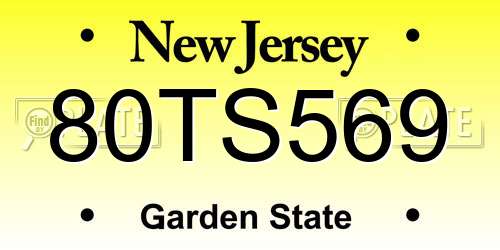 80TS569 New Jersey License Plate