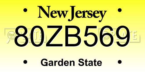 80ZB569 New Jersey License Plate