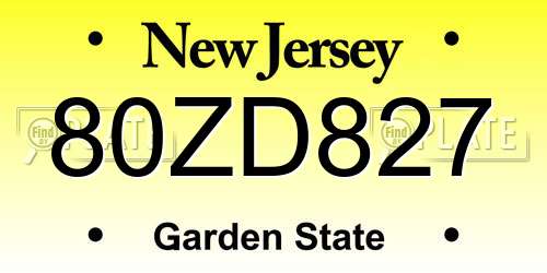 80ZD827 New Jersey License Plate