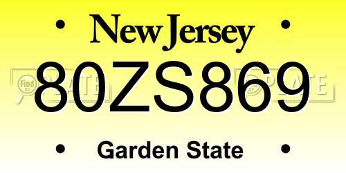 80ZS869 New Jersey License Plate