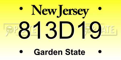 813D19 New Jersey License Plate