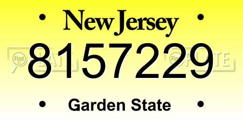 8157229 New Jersey License Plate